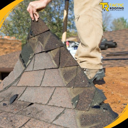 DIY Roof Repair: What You Can Do and What You Shouldn't