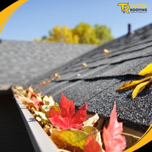 The Importance of Roof Gutters: Why You Can't Ignore Them
